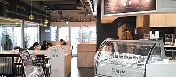 Brigela Case Study Image